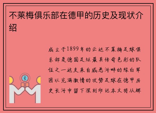 不莱梅俱乐部在德甲的历史及现状介绍