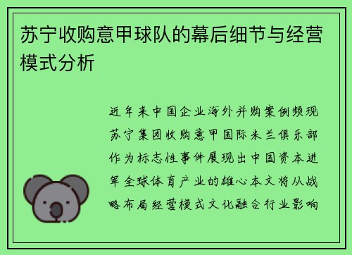 苏宁收购意甲球队的幕后细节与经营模式分析